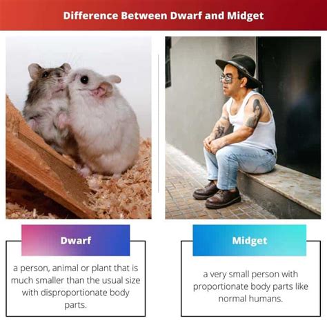 midget vs dwarf|Dwarf vs Midget: Difference and Comparison.